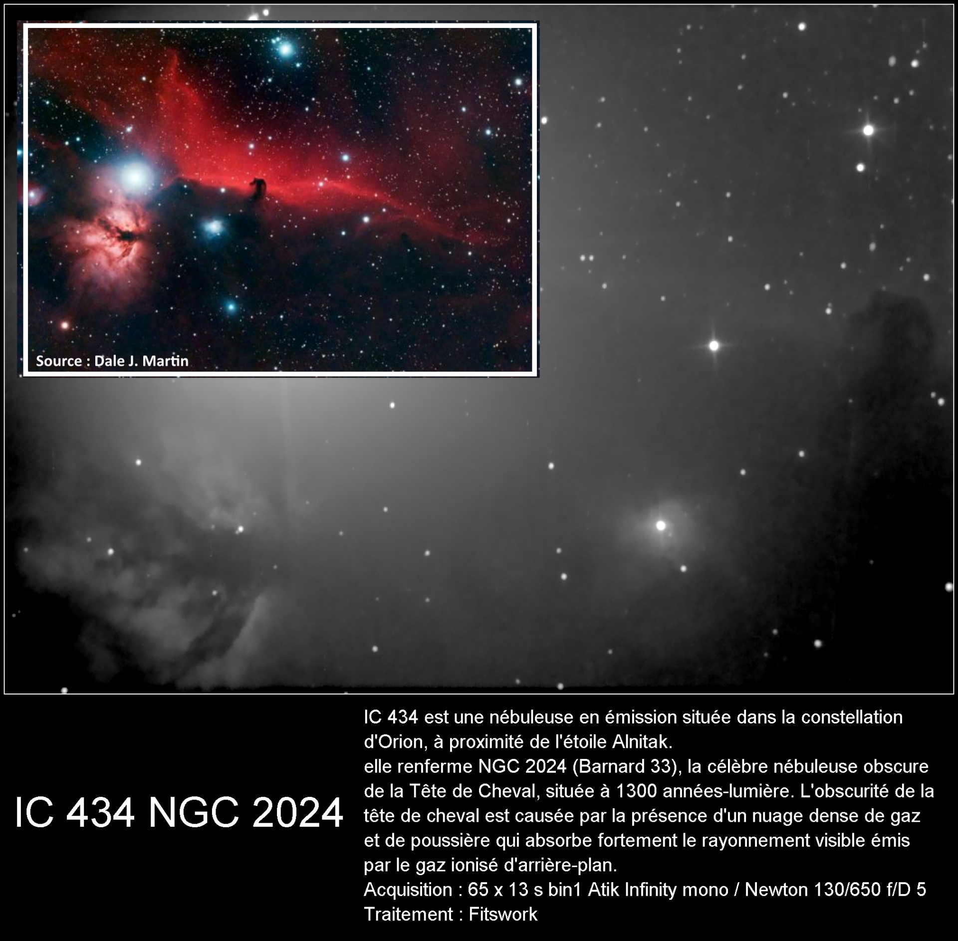 B33 NGC 2024