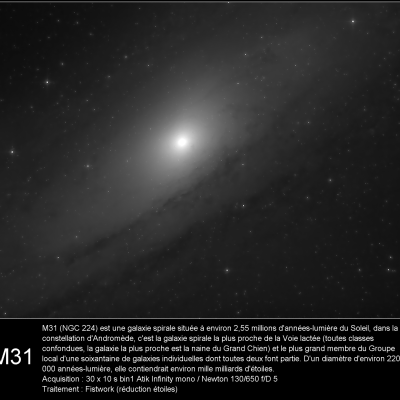 M31 