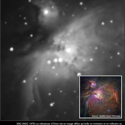 M42