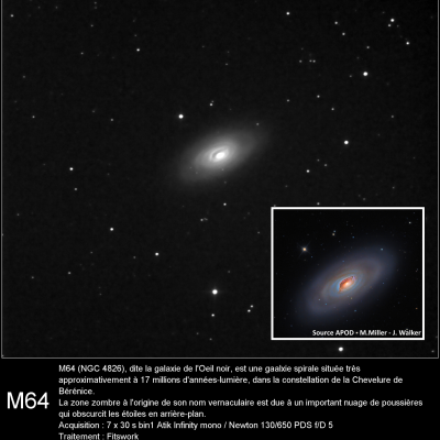 M64
