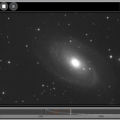 M81