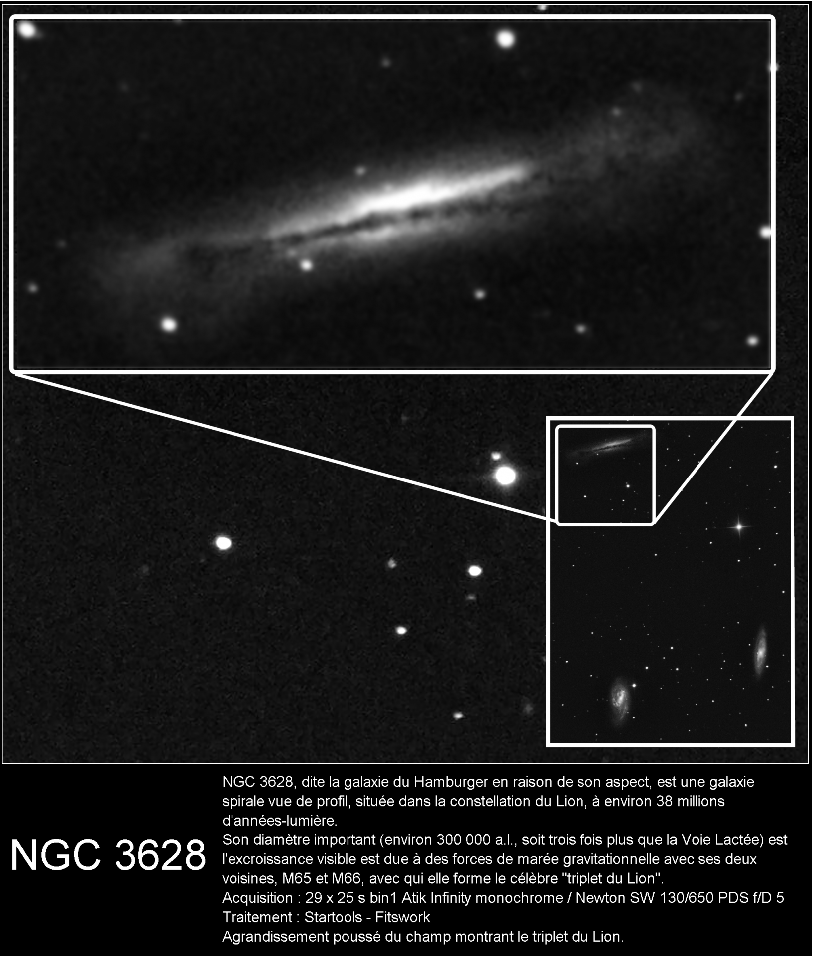NGC 3628 - La galaxie du Hamburger