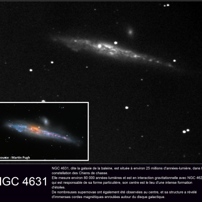 NGC 4631
