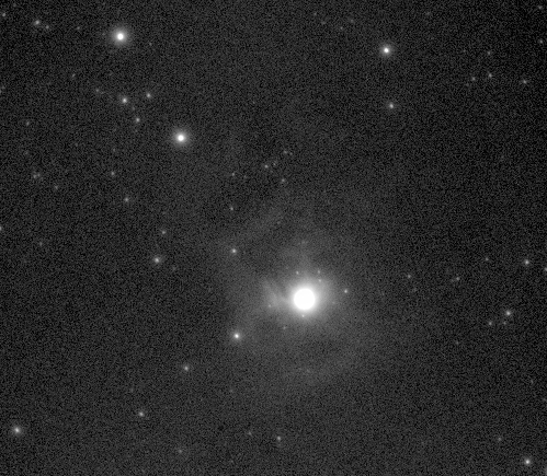 NGC 7023 Nébuleuse de l'iris 15 x 13 s BIN2